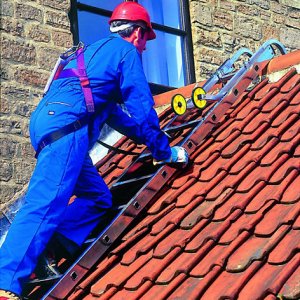 Roof Ladder