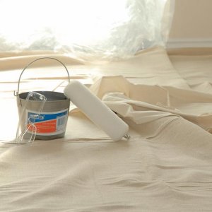 Dust Sheets