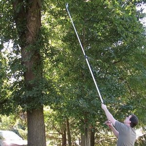 Long Reach Branch Pruner